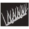 Bird Spike, Clear Plastic, 5-In. x 6-Ft.