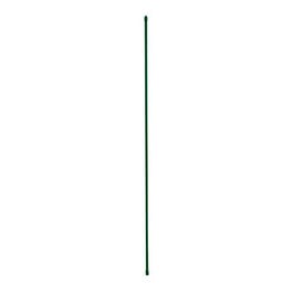 Plant Stake, Plastic Coated Steel, 5-Ft.