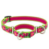 Lupine Pet Original Designs Martingale Training Collar