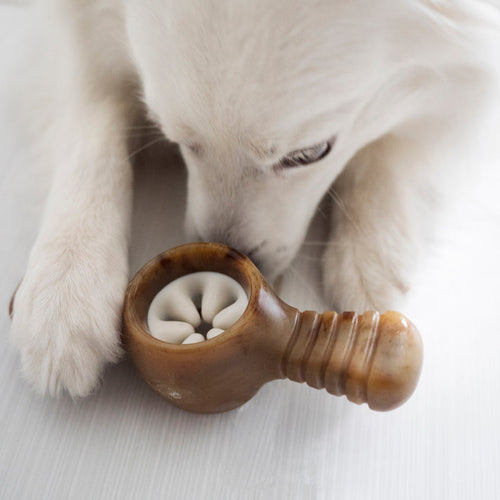 Benebone Peanut Butter Pawplexer (Small)