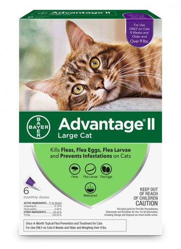 Bayer Advantage II Large Cat