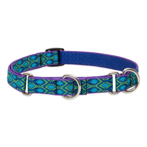 Lupine Pet Original Designs Martingale Training Collar