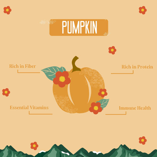 Yak9 Chews Pumpkin Cheese Chews for Dogs