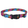 Coastal Pet Products Styles Adjustable Dog Collar (3/8 x 8-12, Wildflower)