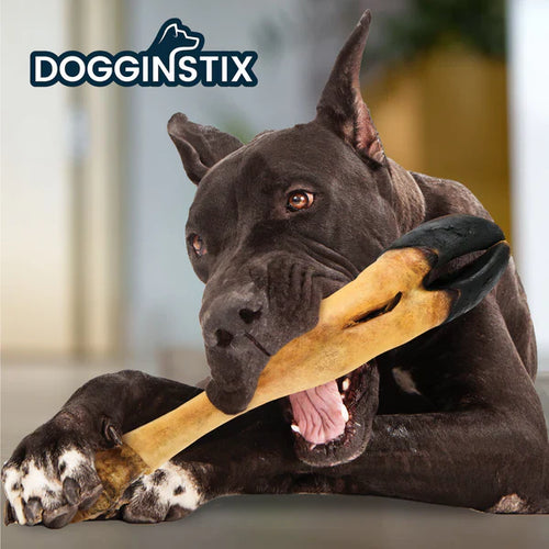 Dogginstix Beef Feet Dog Treats (Large)