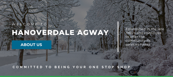 Winter scene with snow-covered trees and text about Hanoverdale Agway.