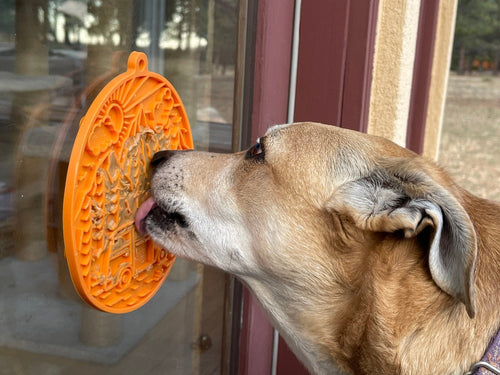 SodaPup Camp eMat Enrichment Lick Mat