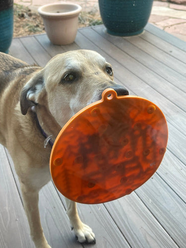 SodaPup Camp eMat Enrichment Lick Mat