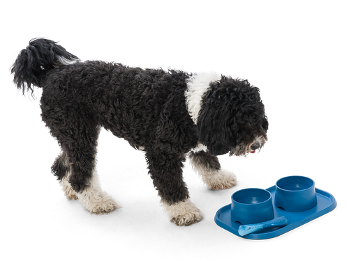 West Paw Drifty® Dog Toy