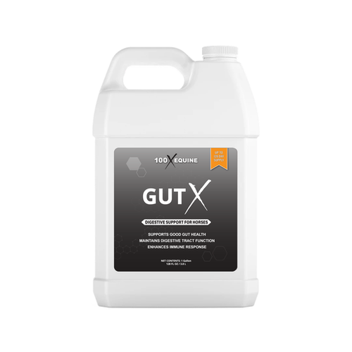 100X Equine Gut X (1 Gallon)