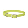 Coastal Single-Ply Dog Collar