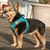 Bay Dog Liberty Bay Dog Harness (Sea Foam)