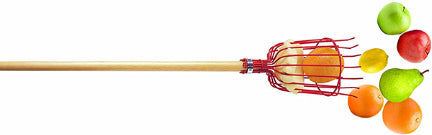 Bond Wood Handle Fruit Harvester With Metal Basket