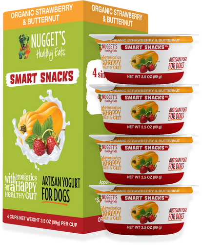Nugget's Healthy Eats Frozen Smart Snacks Artisan Yogurt Strawberry & Butternut for Dogs
