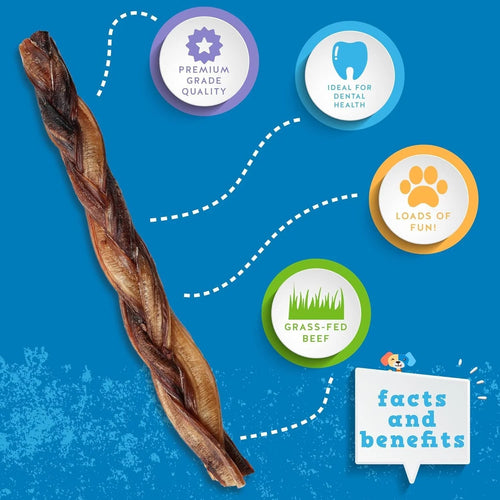 Jack&Pup 12-Inch Braided Bully Stick