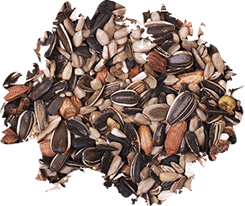 Wild Delight Nut N’ Berry® Wild Bird Food