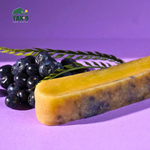 Yak9 Blueberry Cheese Chews for Dogs