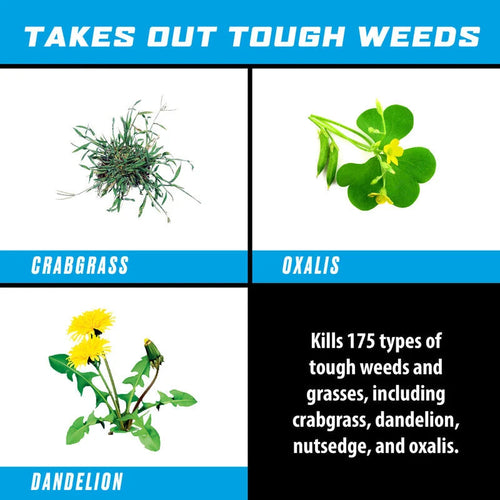 Ortho® GroundClear® Super Weed & Grass Killer₁