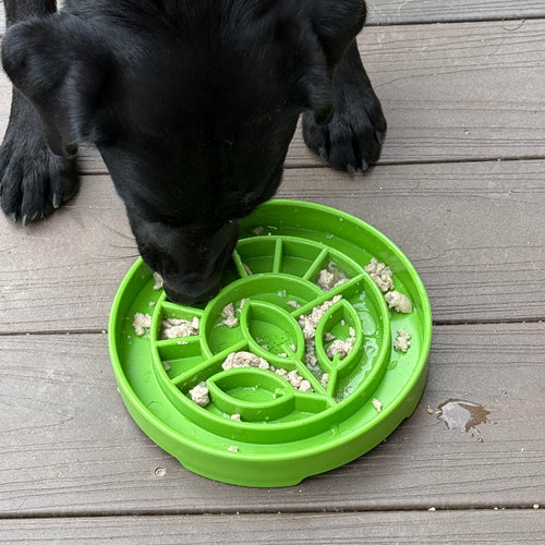 SodaPup Garden Design eTray Enrichment Shallow Slow Feeder Dog Bowl