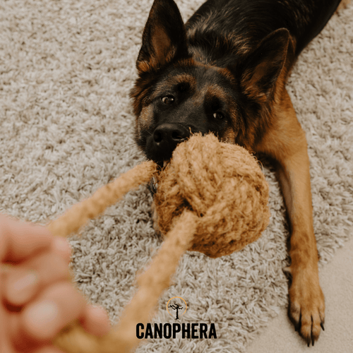 Canophera Coconut Rope Toys