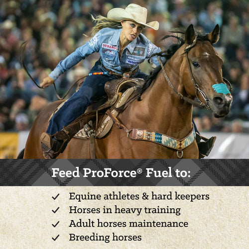 Nutrena® ProForce® Fuel Horse Feed