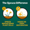 Spruce 10oz EZ-AIM Weed & Grass Killer