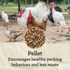 Nutrena® NatureWise® All Flock 20% Protein Pellet