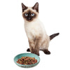 Ethical Pet Spot Portofino Dish Oval Cat Blue