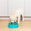 Zippy Paws Happy Bowl Donut Slow Feeder Dog Bowl