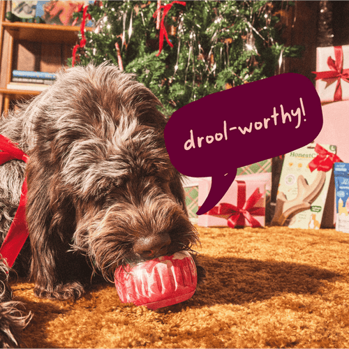Woof Jingle Pops Dog Treats