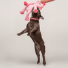 Fab Dog Floppy Pig Dog Toy