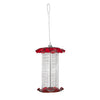 Birds Choice Small Sunflower Seed Forever Feeder with Stainless Steel Screen in Red