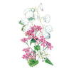 Botanical Interests Honesty Money Plant Seeds
