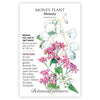 Botanical Interests Honesty Money Plant Seeds