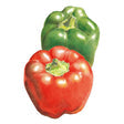 Botanical Interests California Wonder Sweet Pepper Seeds