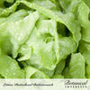 Botanical Interests Buttercrunch Butterhead Lettuce Seeds