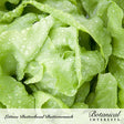 Botanical Interests Buttercrunch Butterhead Lettuce Seeds