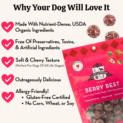 Lord Jameson Berry Best Organic Dog Treats