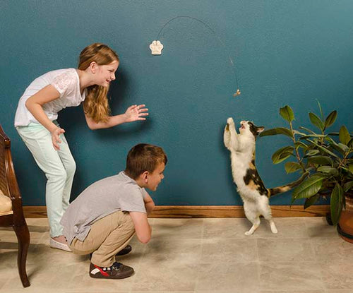 Cat Dancer Deluxe Cat Toy