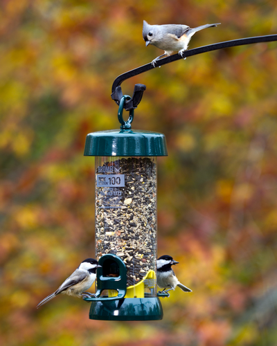 Brome Tube Solution™ 100 Tube Bird Feeder