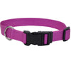 Coastal Adjustable Dog Collar with Metal Buckle