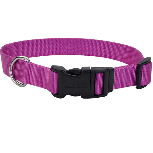 Coastal Adjustable Dog Collar with Plastic Buckle (Small - 5/8 x 10-14, Neon Pink)